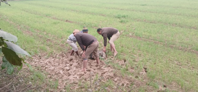 Screenshot 2025-12-30 165722.png